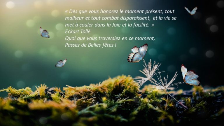 Belles fêtes