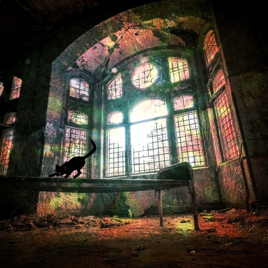 ruine chat noir ruine chat noir